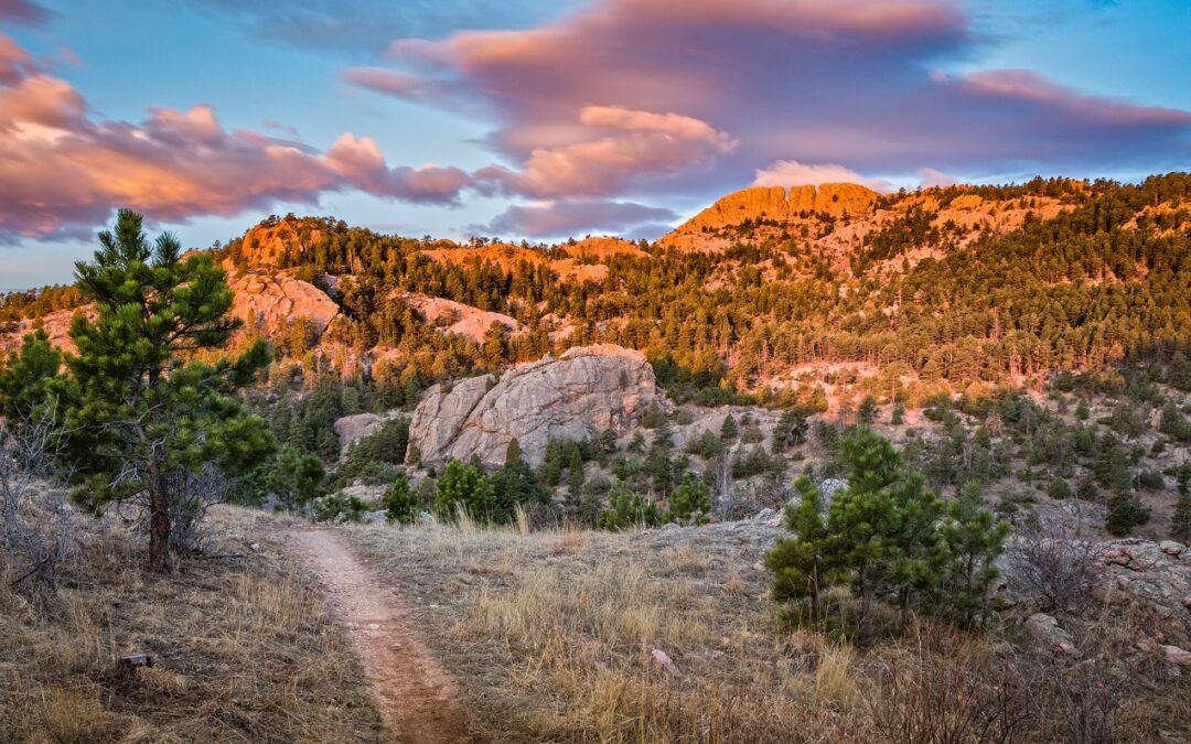 Fort Collins Summer Bucket List: Things To Do in Fort Collins